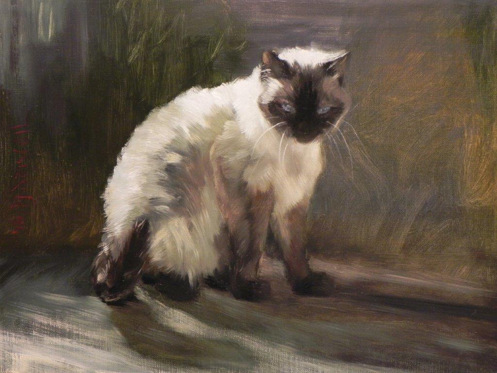 "oil painting of a siamese cat warming herself in a patch of sunlight"